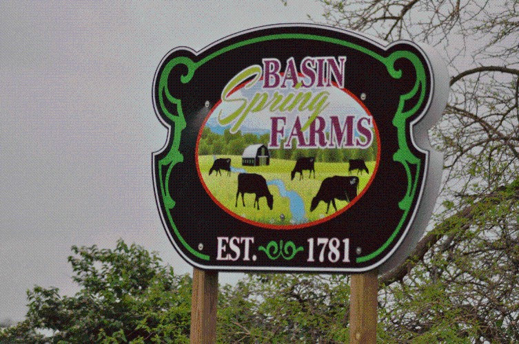 ACM Signs